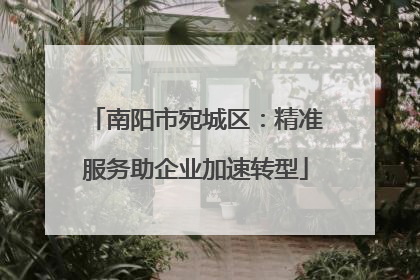 南阳市宛城区：精准服务助企业加速转型