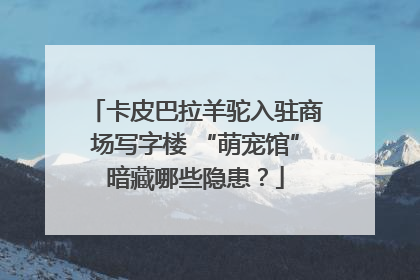 卡皮巴拉羊驼入驻商场写字楼 “萌宠馆”暗藏哪些隐患？