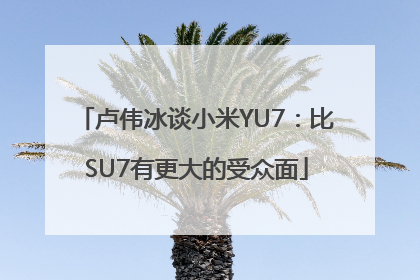 卢伟冰谈小米YU7：比SU7有更大的受众面