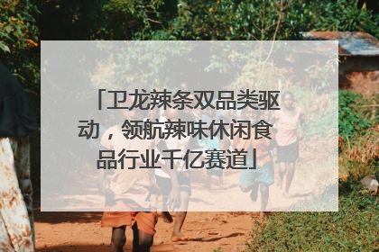 卫龙辣条双品类驱动，领航辣味休闲食品行业千亿赛道