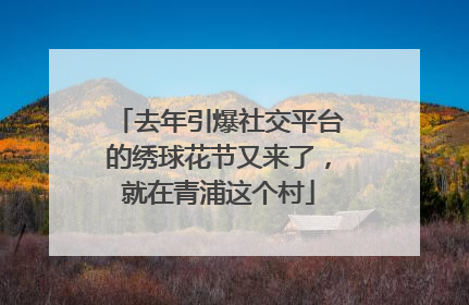 去年引爆社交平台的绣球花节又来了，就在青浦这个村