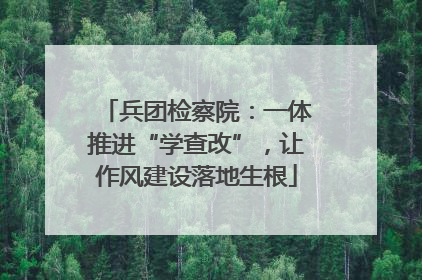 兵团检察院：一体推进“学查改”，让作风建设落地生根