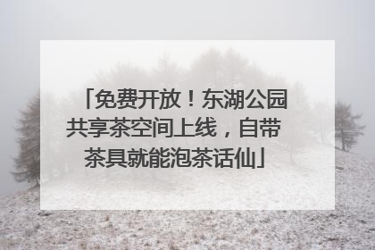 免费开放！东湖公园共享茶空间上线，自带茶具就能泡茶话仙