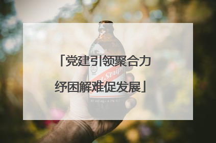 党建引领聚合力 纾困解难促发展