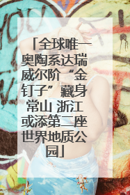 全球唯一奥陶系达瑞威尔阶“金钉子”藏身常山 浙江或添第二座世界地质公园
