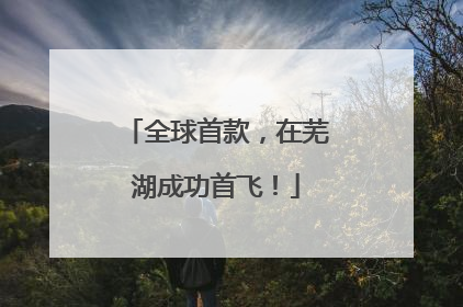 全球首款，在芜湖成功首飞！