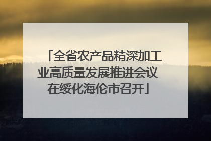 全省农产品精深加工业高质量发展推进会议在绥化海伦市召开