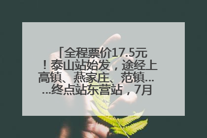全程票价17.5元！泰山站始发，途经上高镇、燕家庄、范镇……终点站东营站，7月1日开通！