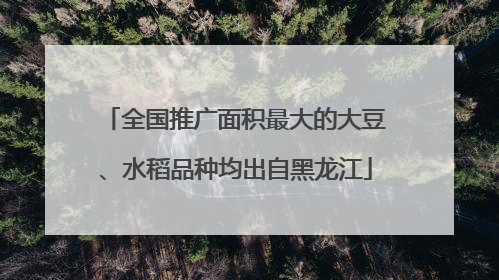 全国推广面积最大的大豆、水稻品种均出自黑龙江
