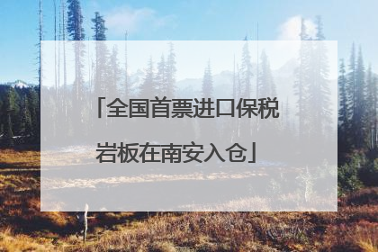 全国首票进口保税岩板在南安入仓
