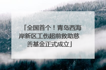 全国首个！青岛西海岸新区工伤超前救助慈善基金正式成立