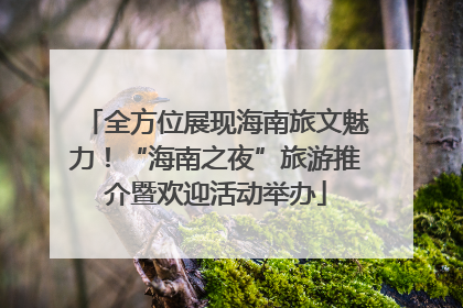 全方位展现海南旅文魅力！“海南之夜”旅游推介暨欢迎活动举办