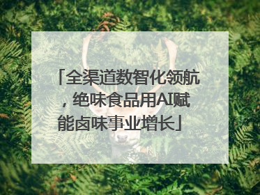全渠道数智化领航，绝味食品用AI赋能卤味事业增长