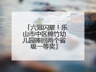 六冠闪耀！乐山市中区棉竹幼儿园捧回两个省级一等奖