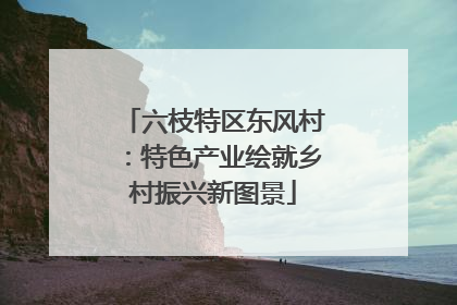 六枝特区东风村：特色产业绘就乡村振兴新图景