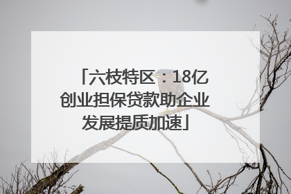 六枝特区：18亿创业担保贷款助企业发展提质加速