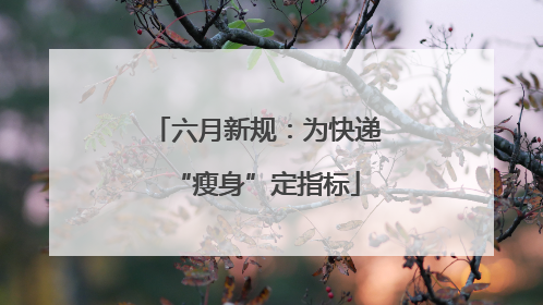 六月新规：为快递“瘦身”定指标