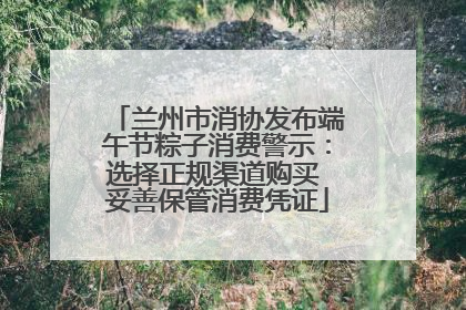 兰州市消协发布端午节粽子消费警示：选择正规渠道购买 妥善保管消费凭证