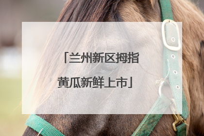 兰州新区拇指黄瓜新鲜上市
