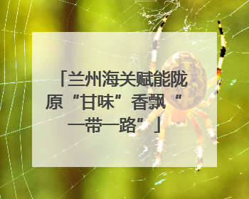 兰州海关赋能陇原“甘味”香飘“一带一路”