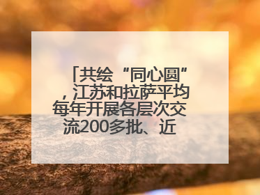 共绘“同心圆”，江苏和拉萨平均每年开展各层次交流200多批、近2000人次