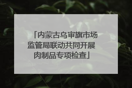 内蒙古乌审旗市场监管局联动共同开展肉制品专项检查