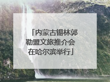 内蒙古锡林郭勒盟文旅推介会在哈尔滨举行