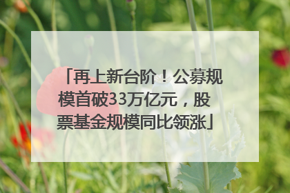 再上新台阶！公募规模首破33万亿元，股票基金规模同比领涨