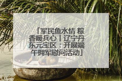 军民鱼水情 粽香暖兵心丨辽宁丹东元宝区：开展端午拥军慰问活动
