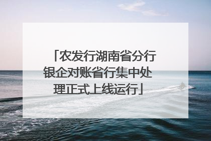 农发行湖南省分行银企对账省行集中处理正式上线运行