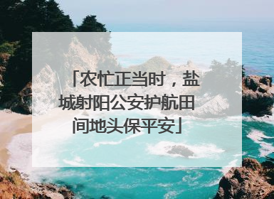 农忙正当时，盐城射阳公安护航田间地头保平安