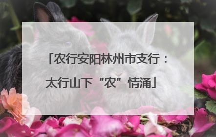 农行安阳林州市支行：太行山下“农”情涌
