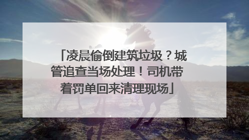凌晨偷倒建筑垃圾？城管追查当场处理！司机带着罚单回来清理现场