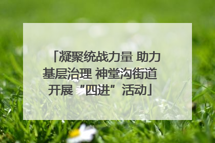 凝聚统战力量 助力基层治理 神堂沟街道开展“四进”活动