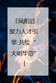 凤阳县：聚力人才引擎 共绘“大明华章”