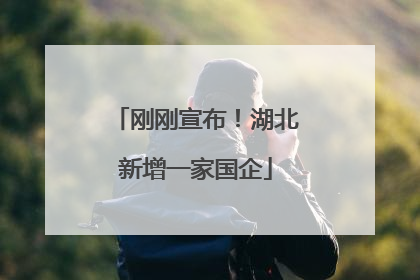 刚刚宣布！湖北新增一家国企