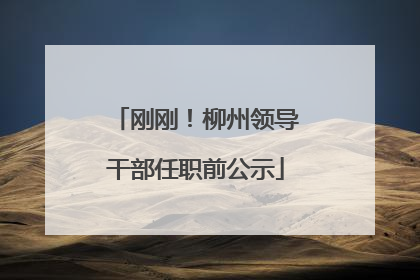 刚刚！柳州领导干部任职前公示