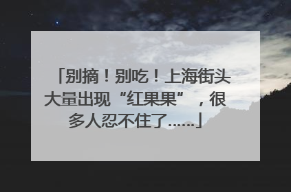 别摘！别吃！上海街头大量出现“红果果”，很多人忍不住了……