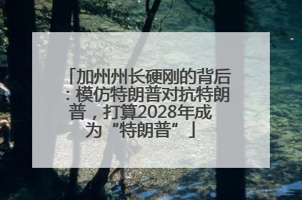 加州州长硬刚的背后：模仿特朗普对抗特朗普，打算2028年成为“特朗普”