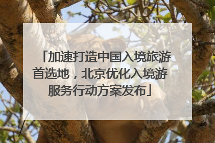 加速打造中国入境旅游首选地，北京优化入境游服务行动方案发布