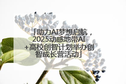 助力AI梦想启航，2025动感地带AI+高校创智计划举办创智成长营活动