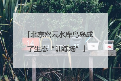 北京密云水库鸟岛成了生态“训练场”