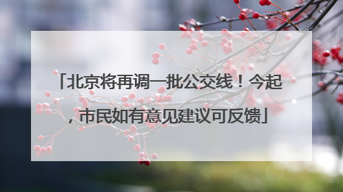 北京将再调一批公交线！今起，市民如有意见建议可反馈