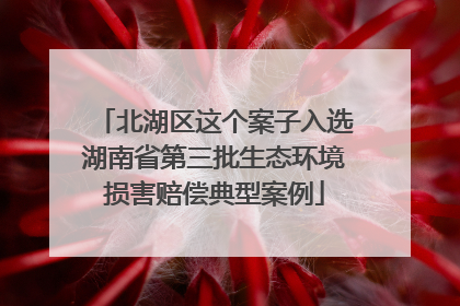 北湖区这个案子入选湖南省第三批生态环境损害赔偿典型案例