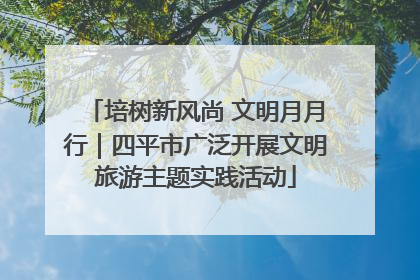 培树新风尚 文明月月行｜四平市广泛开展文明旅游主题实践活动