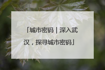 城市密码｜深入武汉，探寻城市密码