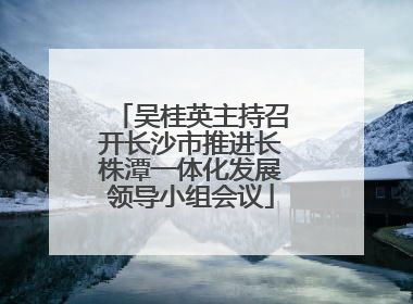 吴桂英主持召开长沙市推进长株潭一体化发展领导小组会议