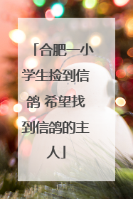 合肥一小学生捡到信鸽 希望找到信鸽的主人