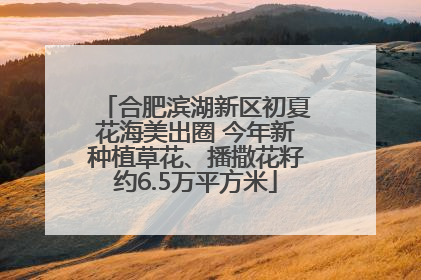 合肥滨湖新区初夏花海美出圈 今年新种植草花、播撒花籽约6.5万平方米