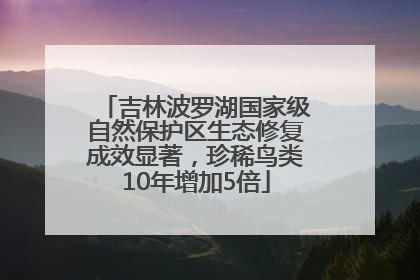 吉林波罗湖国家级自然保护区生态修复成效显著，珍稀鸟类10年增加5倍